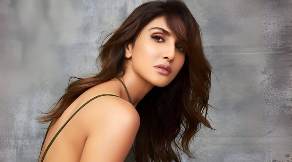 Vaani Kapoor on Missing War 2: “Tiger Returns, So Do I”