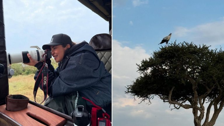 Priyanka Chopra Seeks Safari Adventures and Happiness and Peace in Africa