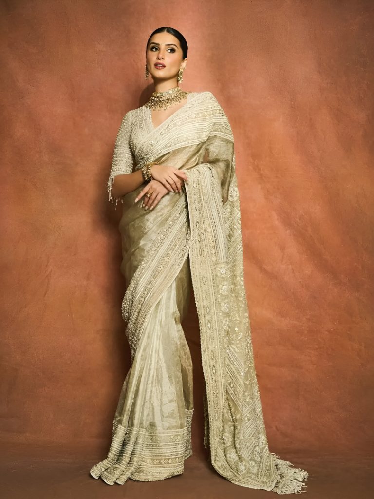 Tara Sutaria Stuns in Champagne Kanjeevaram Sari Look