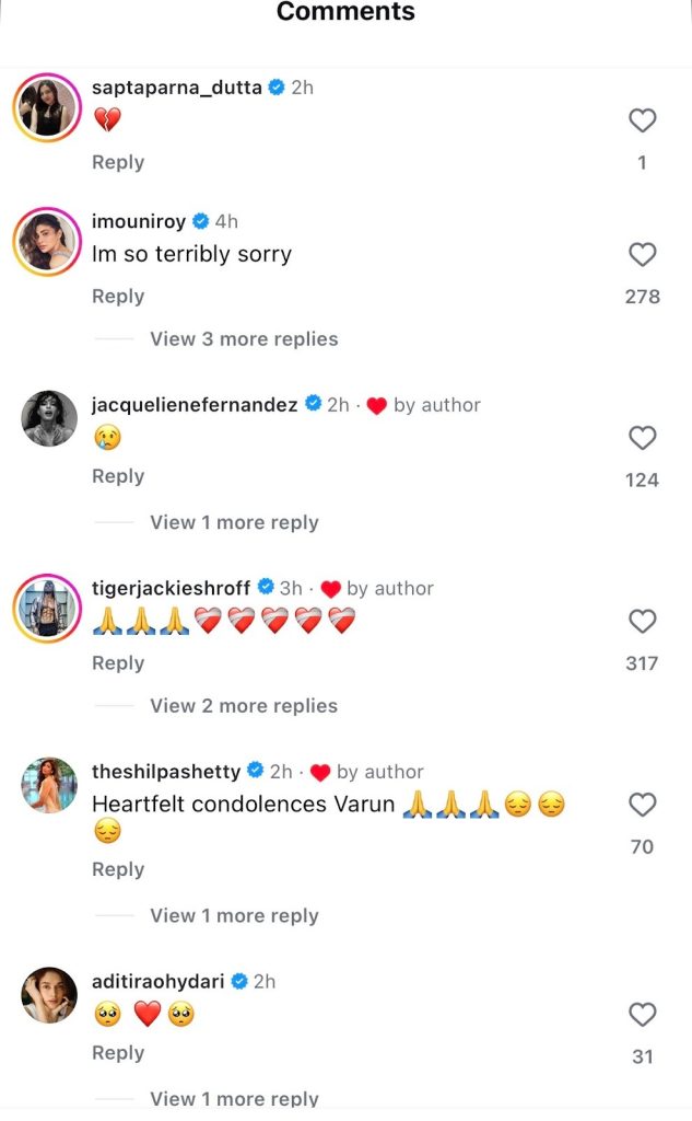 Varun Dhawan Mourns Loss of Beloved Pet Dog, Shares Emotional Note