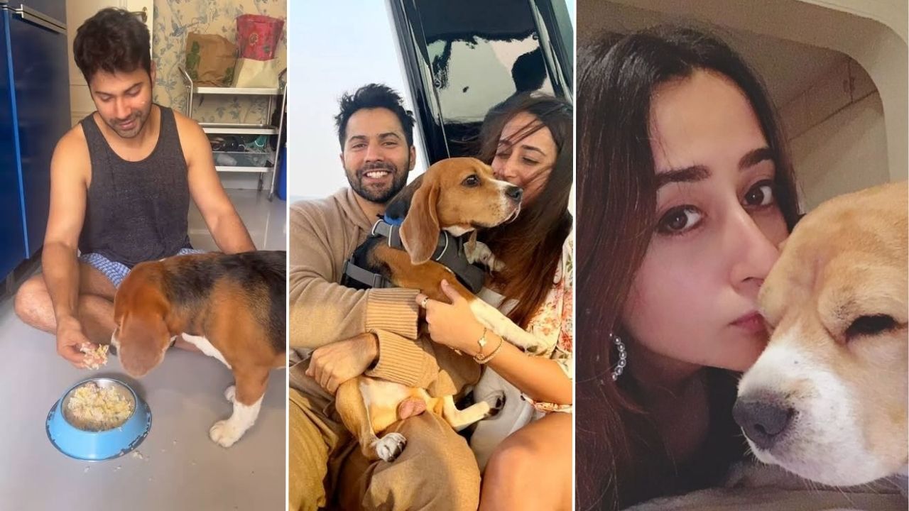 Varun Dhawan Loses Beloved Dog; Shares Emotional Note
